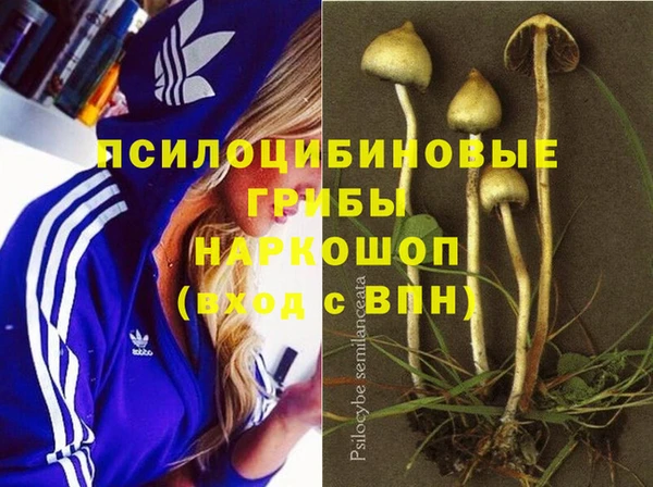 apvp Белоозёрский