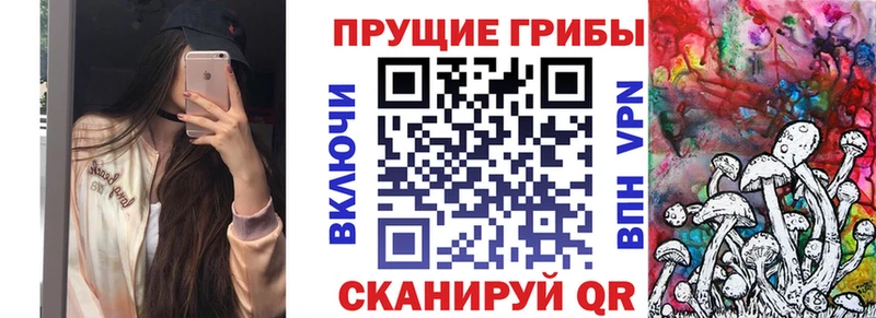 хочу   Беломорск  Галлюциногенные грибы Psilocybine cubensis 