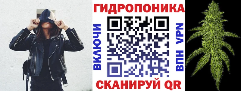 Канабис MAZAR  Беломорск 